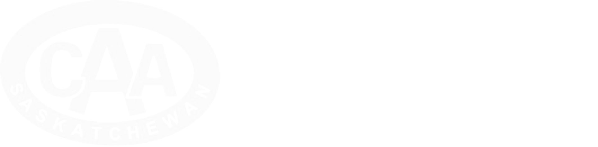 travel-insurance-logo-reverse